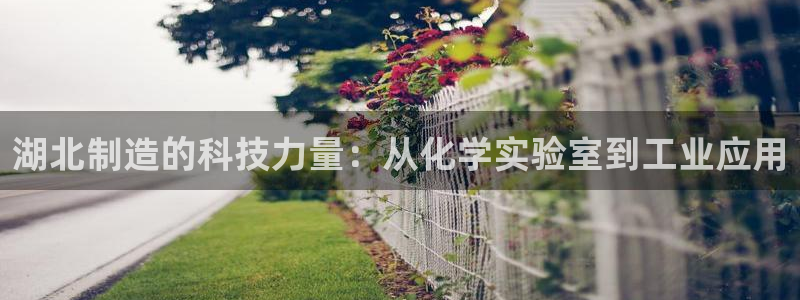 意昂集团官网：湖北制造的科技力量：从化学实验室到工业应用