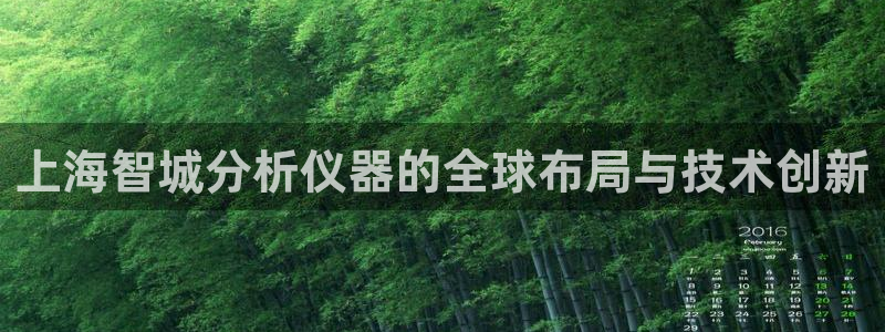 意昂体育3招商电话是多少啊：上海智城分析仪器的全球布局与技术