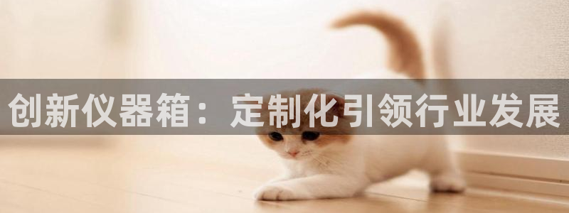 意昂体育3招商电话地址：创新仪器箱：定制化引领行业发展