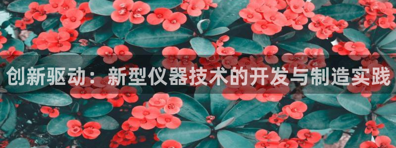 意昂3娱乐首页网站大全：创新驱动：新型仪器技术的开发与制造实
