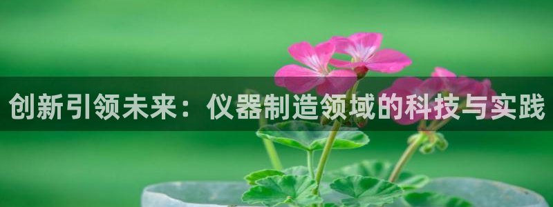 意昂3娱乐首页网站大全：创新引领未来：仪器制造领域的科技与实