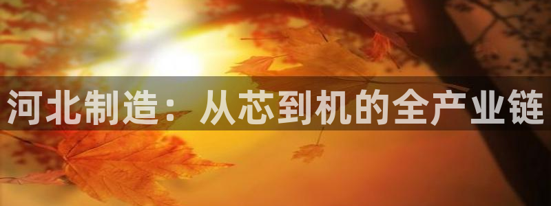 意昂3集团logo：河北制造：从芯到机的全产业链