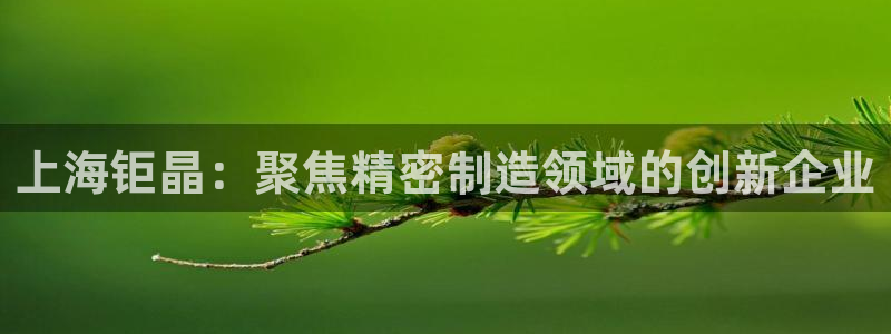 海南意昂体育3：上海钜晶：聚焦精密制造领域的创新企业