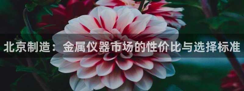 意昂3科技：北京制造：金属仪器市场的性价比与选择标准