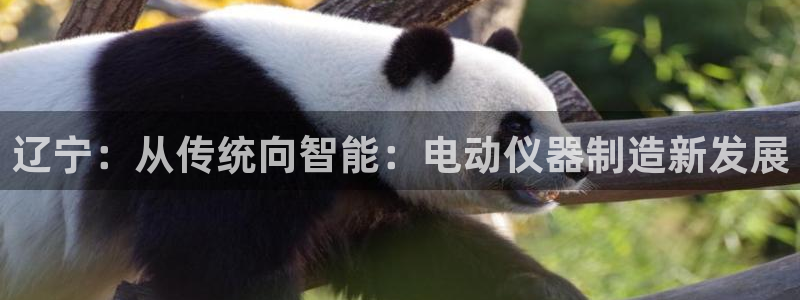 德国意昂3集团：辽宁：从传统向智能：电动仪器制造新发展