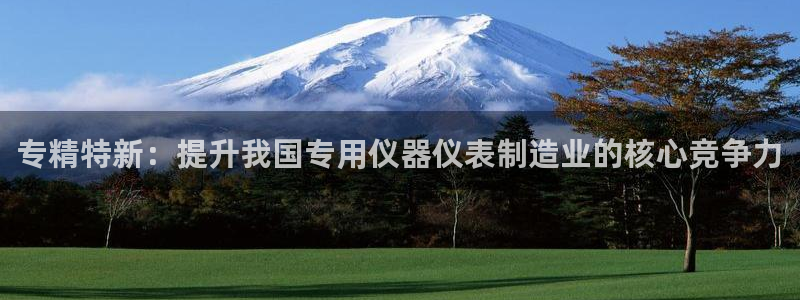 意昂3娱乐是那个系列的台子：专精特新：提升我国专用仪器仪表制