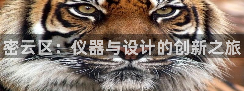 意昂体育3平台是正规平台吗安全吗：密云区：仪器与设计的创新之