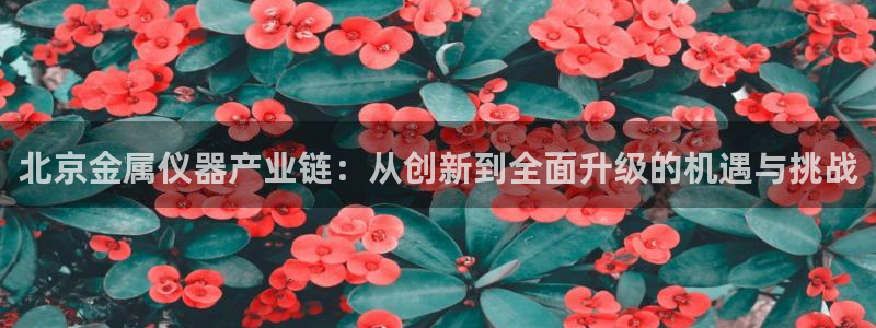 意昂体育3招商电话号码：北京金属仪器产业链：从创新到全面升级