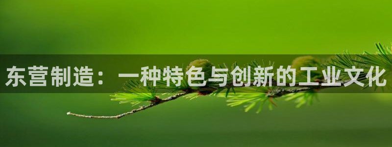 意昂3集团logo：东营制造：一种特色与创新的工业文化