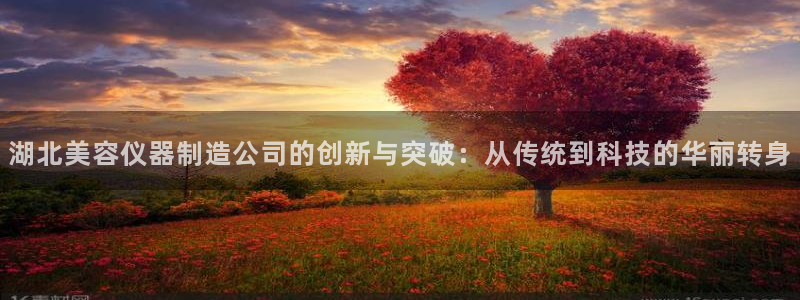 意昂体育3开户：湖北美容仪器制造公司的创新与突破：从传统到科