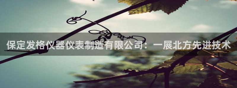 意昂3代理：保定发格仪器仪表制造有限公司：一展北方先进技术