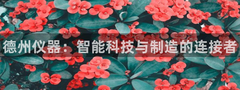 意昂3娱乐是那个系列的台子：德州仪器：智能科技与制造的连接者