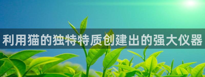 意昂体育3平台假的吗是真的吗吗：利用猫的独特特质创建出的强大