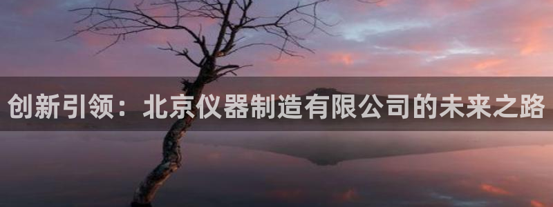 意昂3娱乐首页官网下载：创新引领：北京仪器制造有限公司的未来
