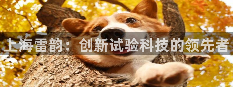 意昂平台体育：上海雷韵：创新试验科技的领先者