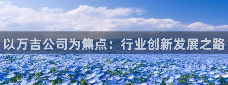 海南意昂体育3：以万吉公司为焦点：行业创新发展之路