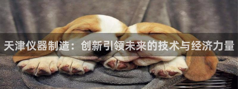 意昂3娱乐40996：天津仪器制造：创新引领未来的技术与经济