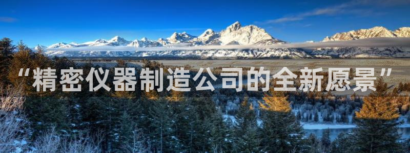 意昂体育3平台APP：“精密仪器制造公司的全新愿景”