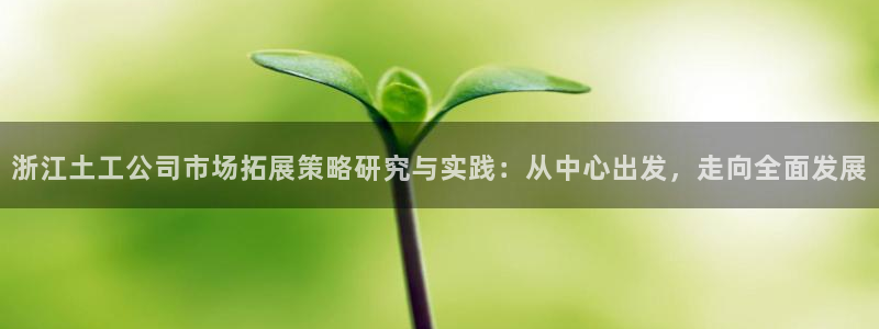 意昂3娱乐是那个系列的台子：浙江土工公司市场拓展策略研究与实