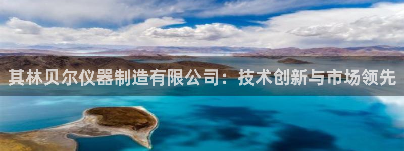 意昂3集团E.ON：其林贝尔仪器制造有限公司：技术创新与市场