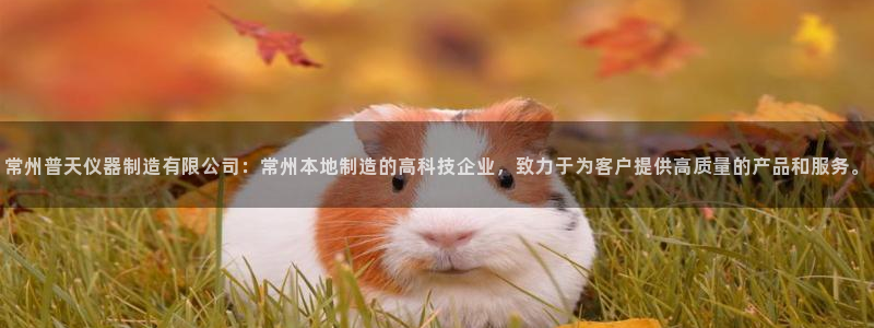 意昂3五金厂：常州普天仪器制造有限公司：常州本地制造的高科技