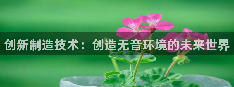 意昂体育3招商电话是多少啊：创新制造技术：创造无音环境的未来