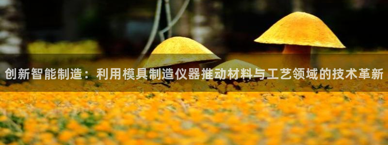 意昂3娱乐网站：创新智能制造：利用模具制造仪器推动材料与工艺