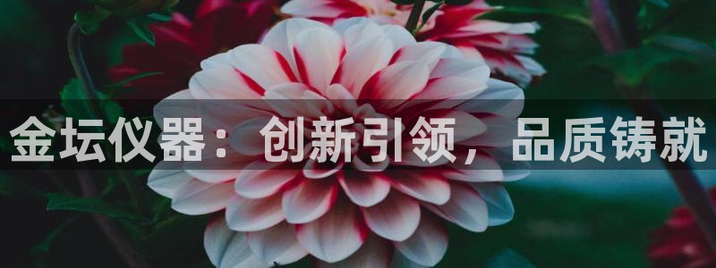 意昂体育3招商电话号码是多少啊：金坛仪器：创新引领，品质铸就