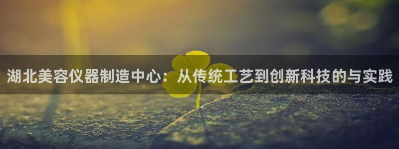 意昂体育3平台注册：湖北美容仪器制造中心：从传统工艺到创新科