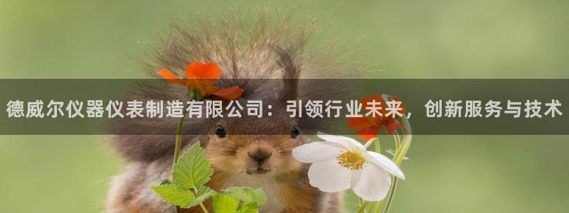 意昂体育3招商电话号码查询是多少：德威尔仪器仪表制造有限公司