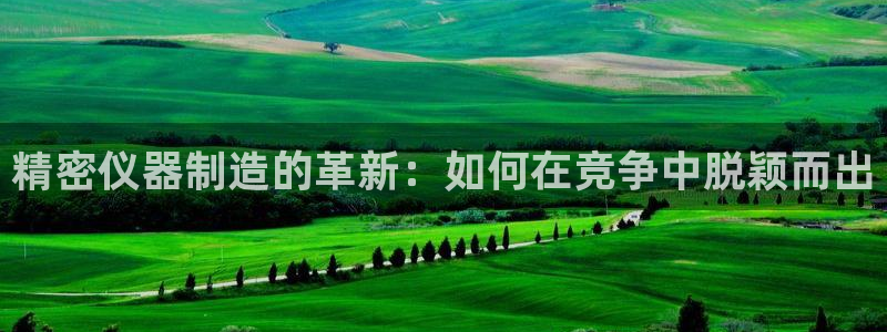 意昂3娱乐首页网站大全：精密仪器制造的革新：如何在竞争中脱颖