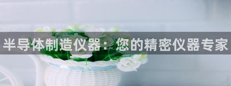 意昂体育3注册：半导体制造仪器：您的精密仪器专家