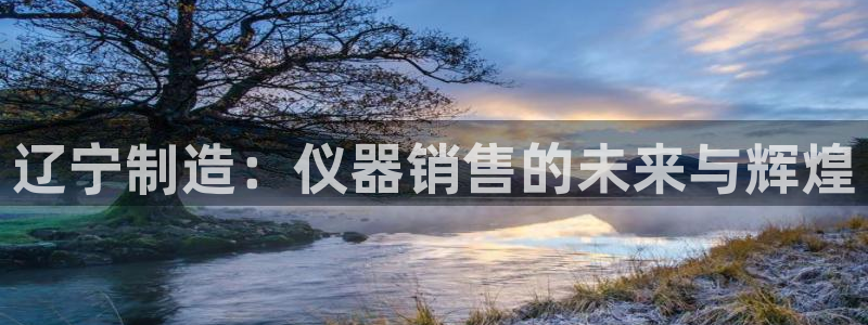 海南意昂体育3：辽宁制造：仪器销售的未来与辉煌