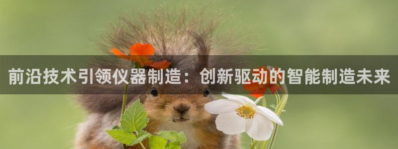 意昂体育3是干嘛的公司：前沿技术引领仪器制造：创新驱动的智能