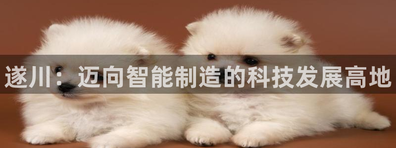 意昂3五金厂：遂川：迈向智能制造的科技发展高地