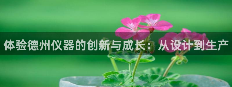 海南意昂体育3发展怎么样：体验德州仪器的创新与成长：从设计到
