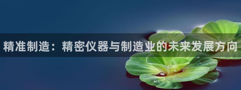 意昂3神州：精准制造：精密仪器与制造业的未来发展方向