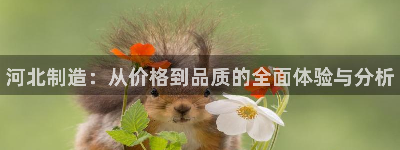 意昂平台体育：河北制造：从价格到品质的全面体验与分析