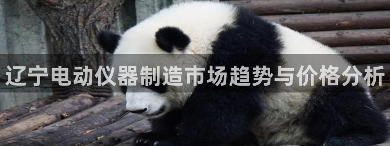 意昂3娱乐首页官网下载：辽宁电动仪器制造市场趋势与价格分析