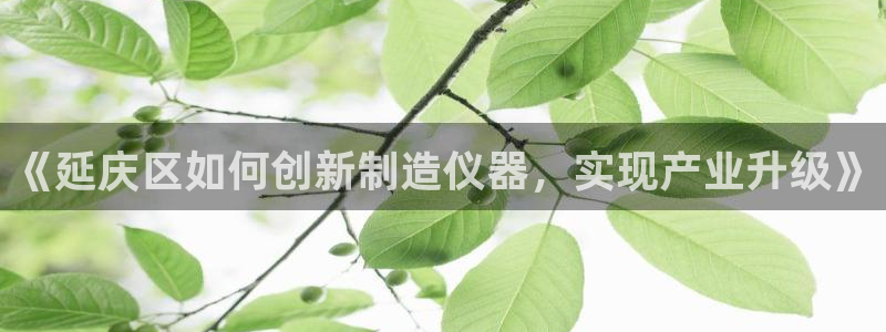 意昂3娱乐40996：《延庆区如何创新制造仪器，实现产业升级