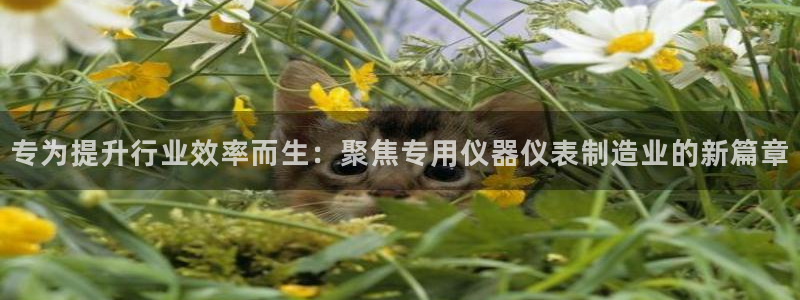 意昂体育3平台是正规平台吗安全吗：专为提升行业效率而生：聚焦