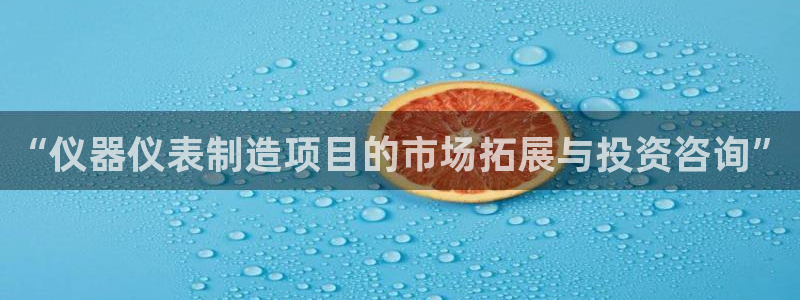 意昂3集团简介：“仪器仪表制造项目的市场拓展与投资咨询”