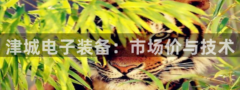 意昂3娱乐：津城电子装备：市场价与技术