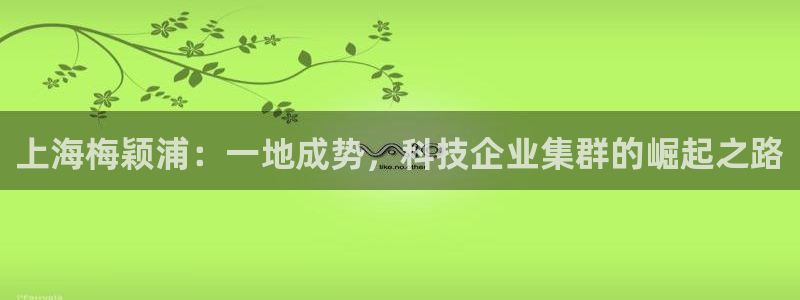 注册意昂3：上海梅颖浦：一地成势，科技企业集群的崛起之路