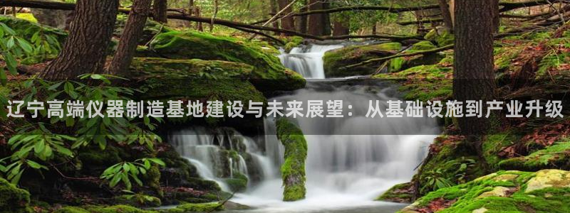 德国意昂3集团：辽宁高端仪器制造基地建设与未来展望：从基础设