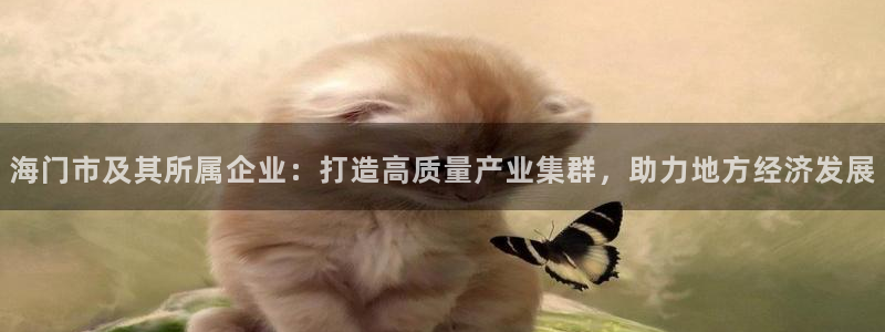意昂体育3招商电话：海门市及其所属企业：打造高质量产业集群，