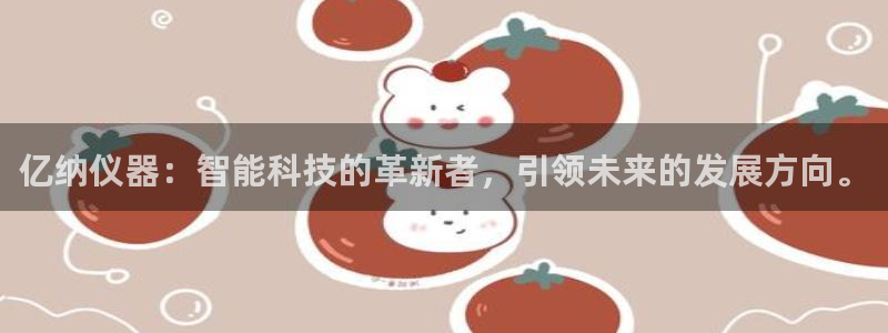 意昂体育3开户：亿纳仪器：智能科技的革新者，引领未来的发展方