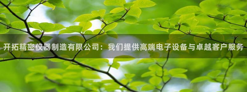 意昂体育3招商电话地址：开拓精密仪器制造有限公司：我们提供高