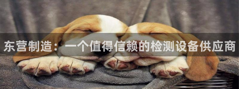 意昂体育3招商电话是多少啊：东营制造：一个值得信赖的检测设备