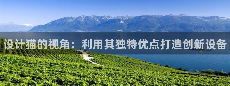 意昂体育3平台假的吗是真的吗：设计猫的视角：利用其独特优点打